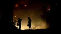 Kebakaran Hebat Melanda Hutan di Portugal,  25 Orang Tewas 