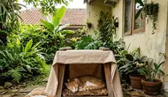 6 Cara Membuat Tempat Berteduh Hewan Peliharaan di Pekarangan Rumah, Nyaman dan Hemat Biaya
