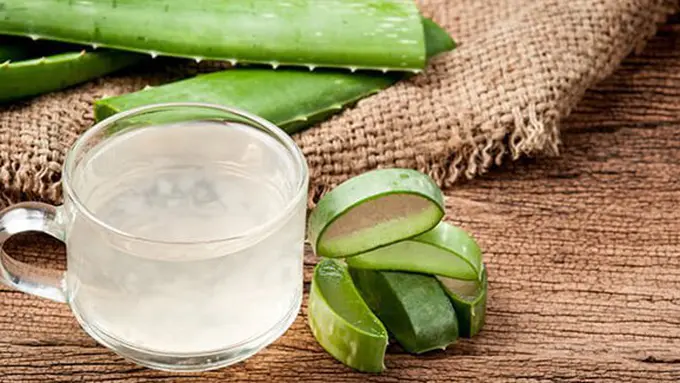 copyright thealternativedaily.com