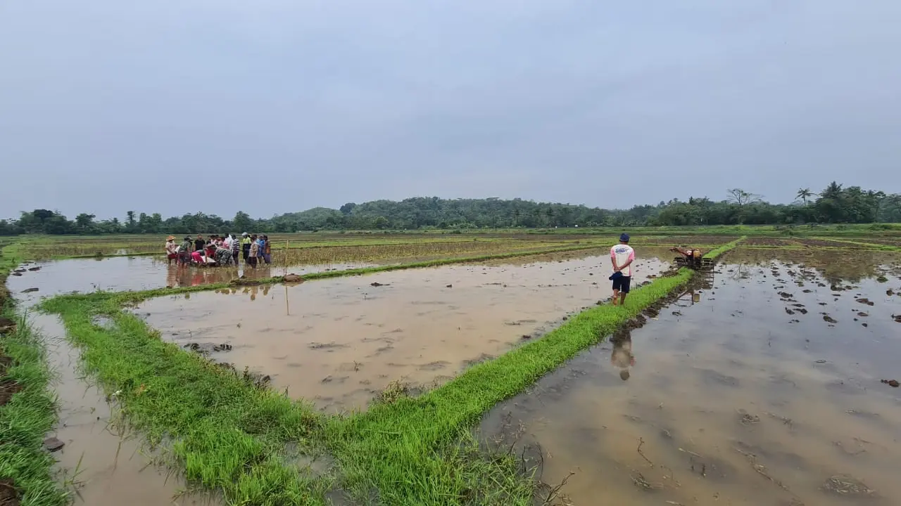 Seorang petani tersambar petir saat membajak di sawah, di Kebumen. (Foto: Liputan6.com/Humas Polres Kebumen)