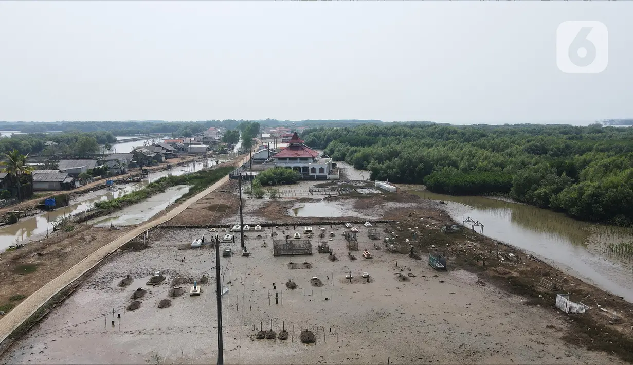 Muara Beting di Muaragembong, Bekasi, pernah mencapai masa kejayaanya pada 1980-an.  (merdeka.com/imam buhori)