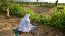 Seorang salat dekat sawah di Kecamatan Kayangan, Lombok Utara, Nusa Tenggara Barat (NTB), Rabu (8/8). Gempa Lombok meluluhlantakkan rumah, pertokoan, tempat ibadah, dan bangunan lainnya. (SONNY TUMBELAKA/AFP)