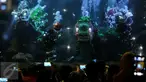 Pengunjung Wahana Seaworld Ancol melihat pertunjukan kesenian Barongsai di air saat perayaan imlek 2567, Jakarta, Senin (8/2). Atraksi barongsai ini merupakan rangkaian "Chinese Fantasy Parade" di Taman Impian Jaya Ancol. (Liputan6.com/JohanTallo)