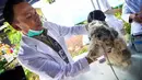 Petugas menyuntikkan vaksinasi rabies pada seekor anjing di Pesanggrahan, Jakarta, Rabu (3/9/14). (Liputan6.com/Faizal Fanani)