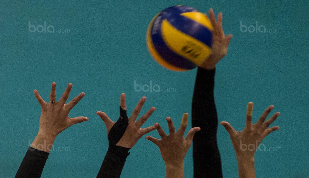 Pevoli Indonesia, Wilda Siti Nurfadhilah, berusaha melakukan block saat melawan Vietnam pada laga SEA Gmaes di MITEC, Kuala Lumpur, Sabtu (26/8/2017). Indonesia lolos ke final setelah menang 3-2 atas Vietnam. (Bola.com/Vitalis Yogi Trisna)