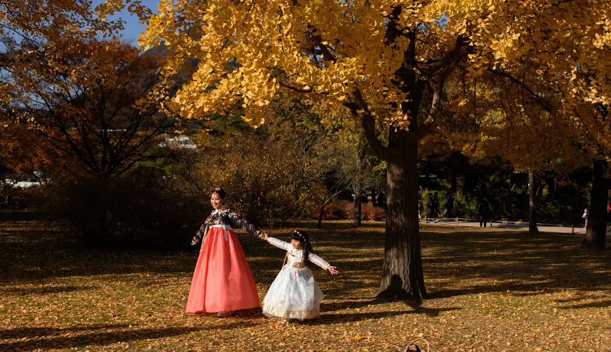Pengunjung yang mengenakan pakaian tradisional hanbok berpose untuk foto di bawah pohon ginkgo di istana Gyeongbokgung di Seoul (31/10). Pohon Ginkgo yang berasal dari Tiongkok ini dikenal sebagai pohon rambut gadis. (AFP Photo/Ed Jones)