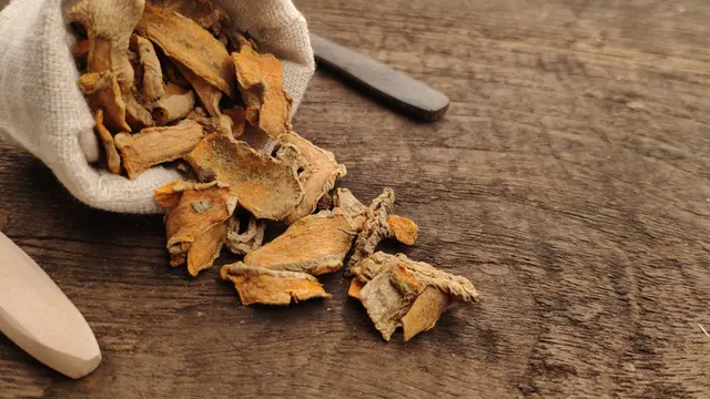 ilustrasi manfaat temulawak/Macro Stud/shutterstock