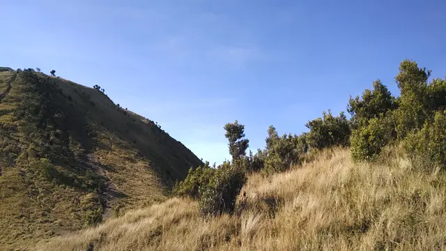 Merbabu