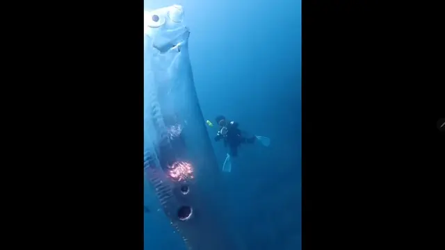 Ikan oarfish muncul di permukaan laut di Taiwan, ikan ini disebut sebagai tanda akan terjadinya bencana tsunami hingga kiamat. (Foto: Twitter @tanyarlfes).