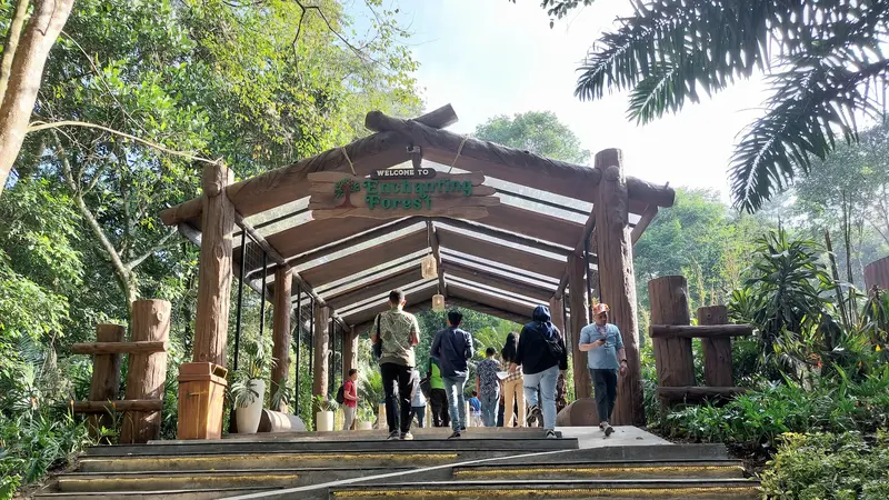 Wisata Healing di Enchanting Forest Taman Safari Prigen, Liburan Asyik, Jiwa Sehat!