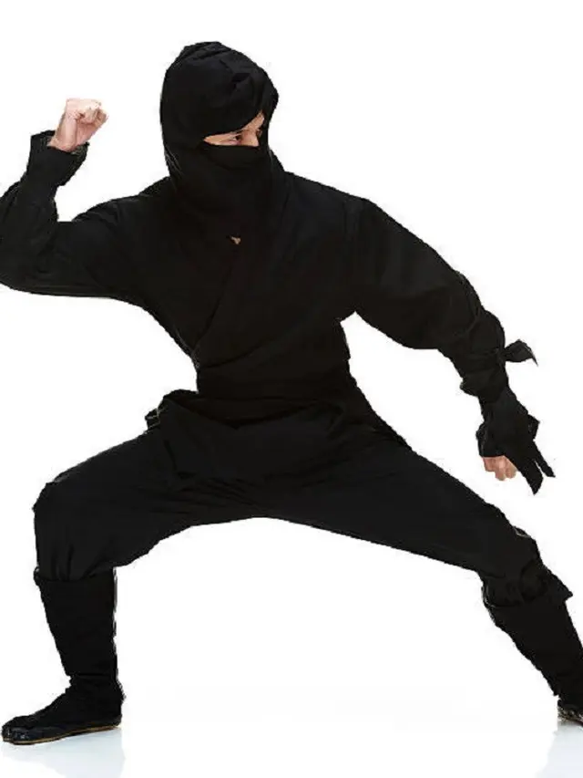 Ilustrasi Ninja