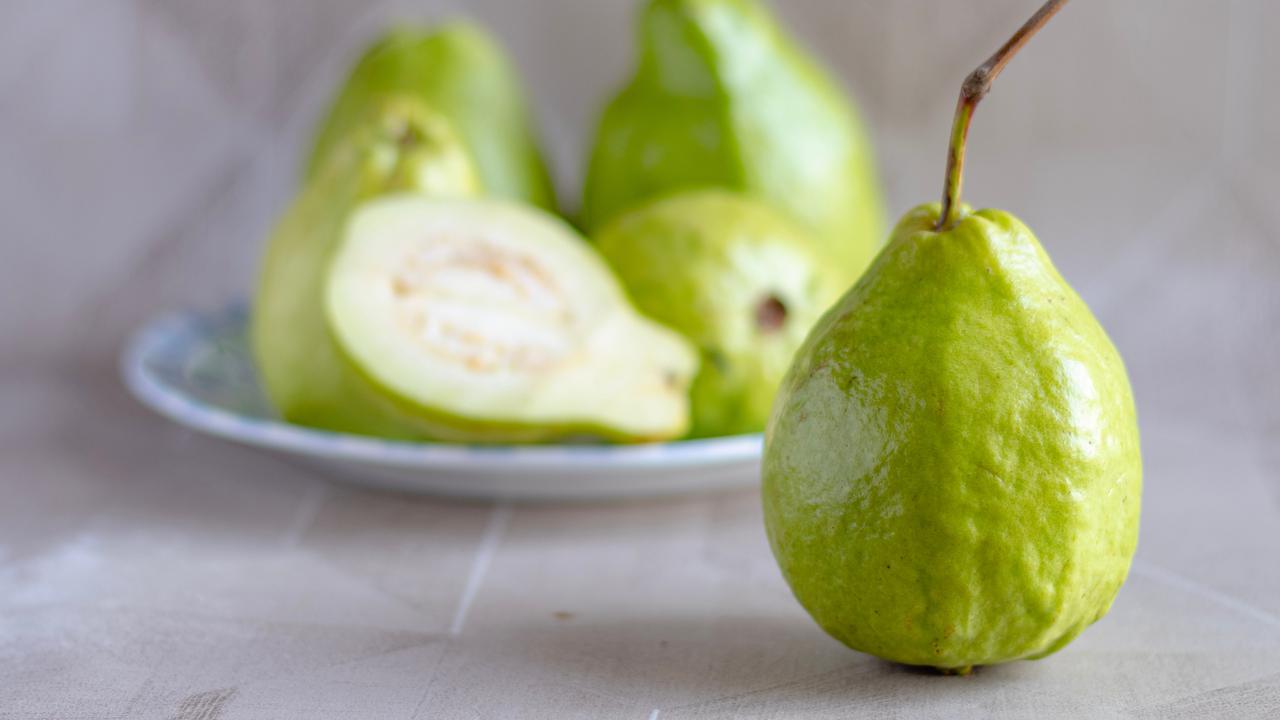 Ilustrasi Jambu Biji