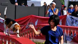 Serunya Lomba Lari Pemilik dan Anjingnya 