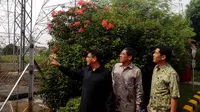 Cek Pasokan Listrik, Kementerian ESDM Sambangi Gardu Depok 