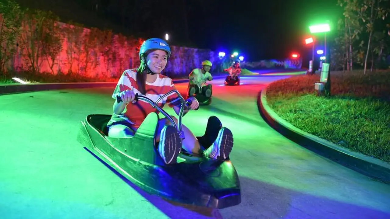 Skyline Luge