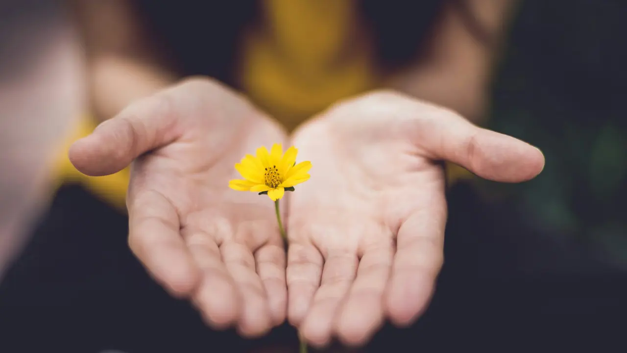 Mindfulness