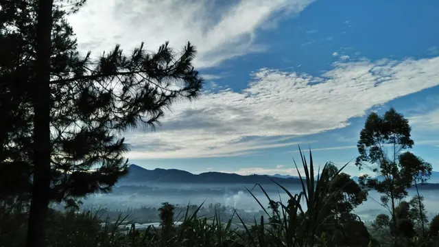 Pagi Adalah Cikole, Cikole Adalah Pagi