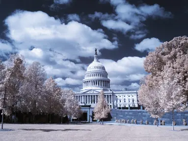 Pemandangan gedung Capitol yang dikelilingi pohon rimbun di Washington DC (26/9). Foto ini dihasilkan dengan menggunakan kamera atau teknik Inframerah. (AFP Photo/Andrew Caballero-Renolds)