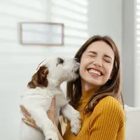 Ilustrasi pecinta hewan/coyright shutterstock/new africa