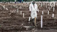 Petugas pemakaman berjalan di antara makam di TPU Khusus COVID-19 Rorotan, Jakarta, Rabu (11/8/2021). Sejak awal pandemi COVID-19 Maret 2020 lalu hingga Rabu (11/8/2021), ada 112.198 orang di Indonesia meninggal dunia akibat terpapar COVID-19. (Liputan6.com/Helmi Fithriansyah)
