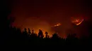 Kobaran api melahap hutan di wilayah Santiago, Chile (20/1). Kebakaran hutan yang terjadi dalam sepekan terakhir telah menghanguskan lahan seluas 155 kilometer persegi. (AFP Photo/Martin Bernetti)