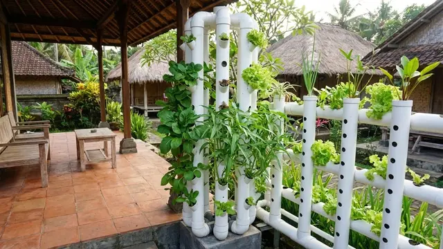 Teras Rumah Desa dengan Taman Vertikal