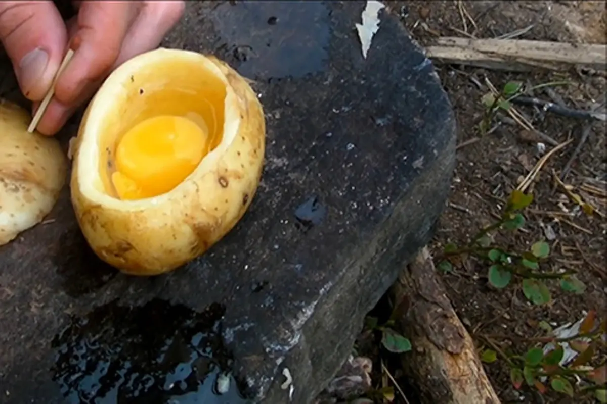 Teknik Survival