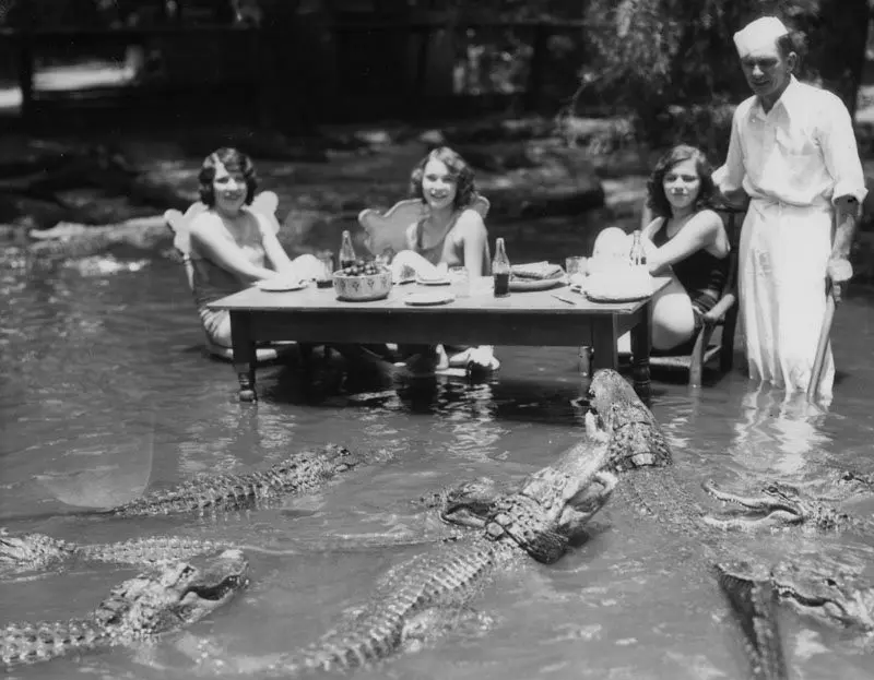 Para wanita menyantap hidangan bersama dengan para buaya (1930) Source: scoopnest.com