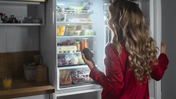 Tanda Kulkas Harus Segera Diganti