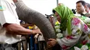  Istri dari almarhum Prof.Dr. Ir. Rubini menepuk belalai gajah  yang namanya digunakan sebagai nama Rumah Sakit Gajah (RSG) di Taman Nasional Way Kambas, Lampung, Kamis (5/11/2015). (Liputan6.com/Fery Pradolo)