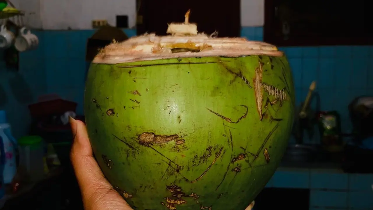 Manfaat Air Kelapa di Masa COVID-19, Bisa Jaga Daya Tahan Tubuh?