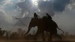 Pawang melatih gajah mereka menjelang lomba selama festival gajah Buon Don di Provinsi Dak Lak, Vietnam, 11 Maret 2019. Dalam festival ini diadakan banyak aktivitas seperti pacuan gajah, sepak bola gajah dan gajah mengarungi sungai. (Manan VATSYAYANA/AFP)