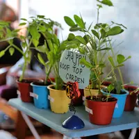 Komunitas Urban Farming Jakarta: Ajak masyarakat berkebun di rumah. (Fimela.com/Adrian Putra)