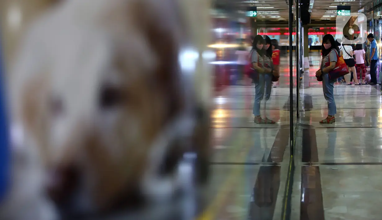 Warga berdiri di depan salah satu toko hewan peliharaan di Jakarta, Kamis (29/10/2020). Sejumlah toko hewan peliharaan sepi pelanggan akibat DKI Jakarta masih memberlakukan PSBB transisi untuk memutus penyebaran COVID-19. (merdeka.com/Imam Buhori)
