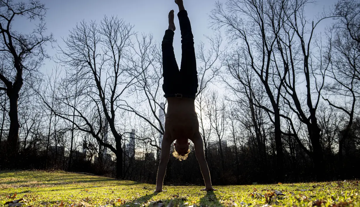 Marco Amantini melakukan handstand di rerumputan dekat Great Lawn di pusat Central Park, di wilayah Manhattan, New York, Senin (30/1/2023). Sejak awal musim dingin di bulan Desember, belum ada hujan salju yang terkira di kota. (AP Photo/John Minchillo)