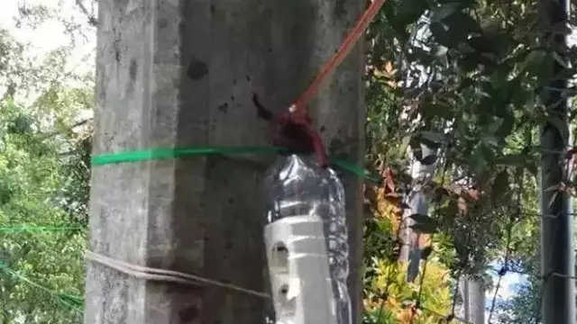 6 Potret Saklar dan Colokan Listrik di Tempat Tak Biasa Ini Bikin Tepuk Jidat