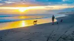 Pengunjung beraktifitas menikmati waktu senja Pantai pasut di Tabanan, Bali. Pantai Pasut di Desa Tibubiyu, Kecamatan Kerambitan, Kabupaten Tabanan, menjadi salah satu destinasi alam yang layak dikunjungi saat berada di Bali. (merdeka.com/Arie Basuki)