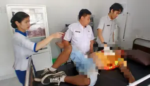 Detik-Detik Pekerja Jatuh dari Pohon Setinggi 7 Meter, Kini Kritis