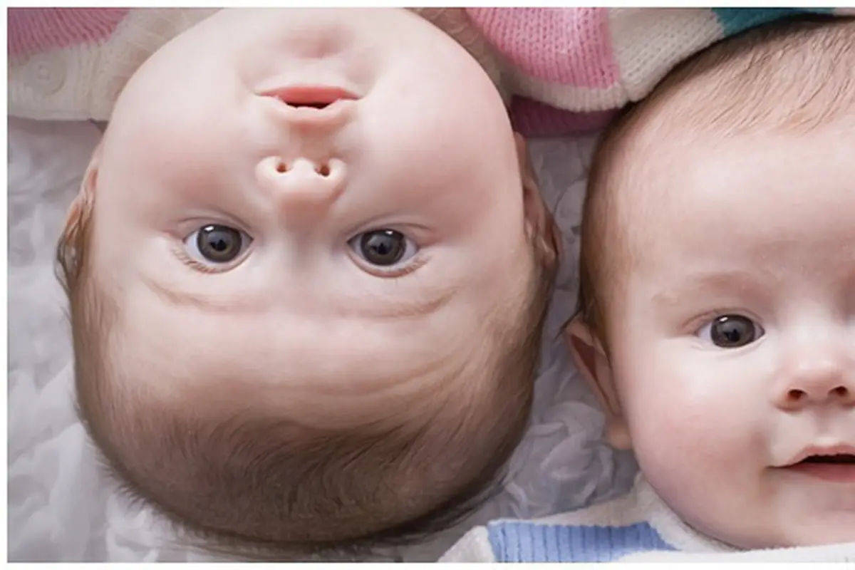 Foto: copyright shutterstock.com