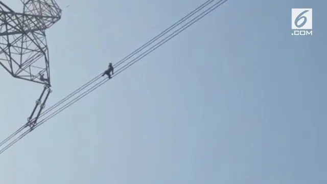 Pria asal India mencoba bunuh diri dengan berjalan di kabel listrik tegangan tinggi. Polisi berhasil menggagalkan aksi tersebut setelah negosiasi selama 1 jam.