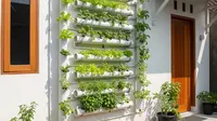 9 Ide Hidroponik Kreatif Pakai Talang Air Bekas Jadi Kebun Modern, Solusi Lahan Terbatas