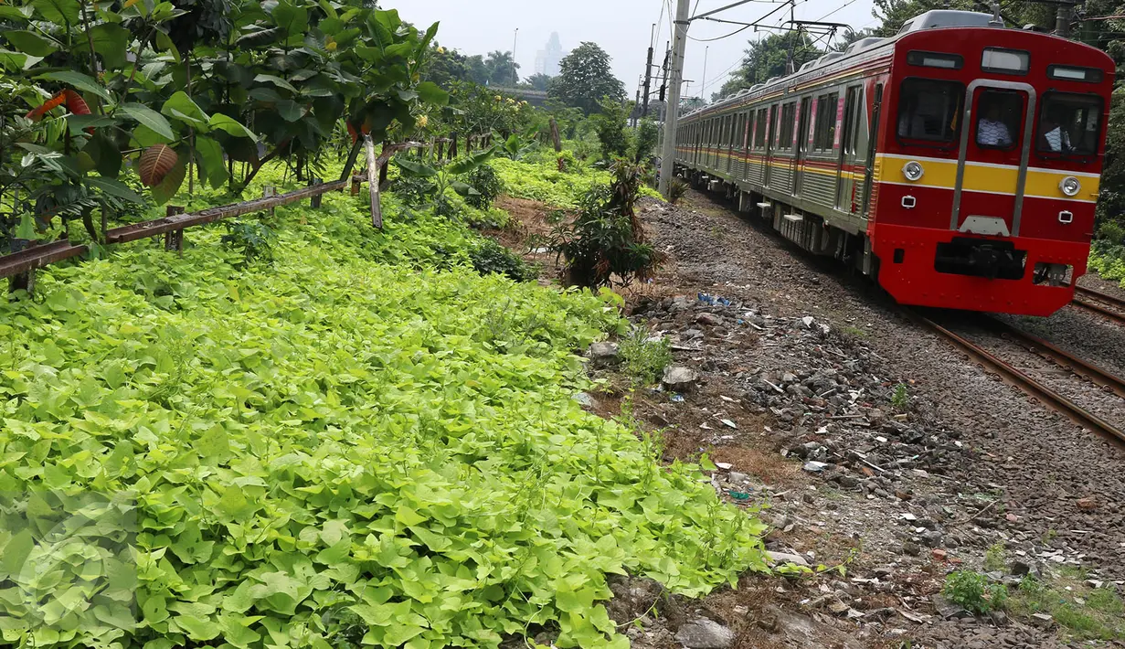 KRL melintas di samping taman yang berada di kawasan Rawajati, Jakarta, Rabu (17/5). Lahan seluas 2.200 meter persegi di bantaran rel KA yang dulu kumuh kini telah menjadi ruang terbuka hijau baru di Ibu Kota. (Liputan6.com/Immanuel Antonius)