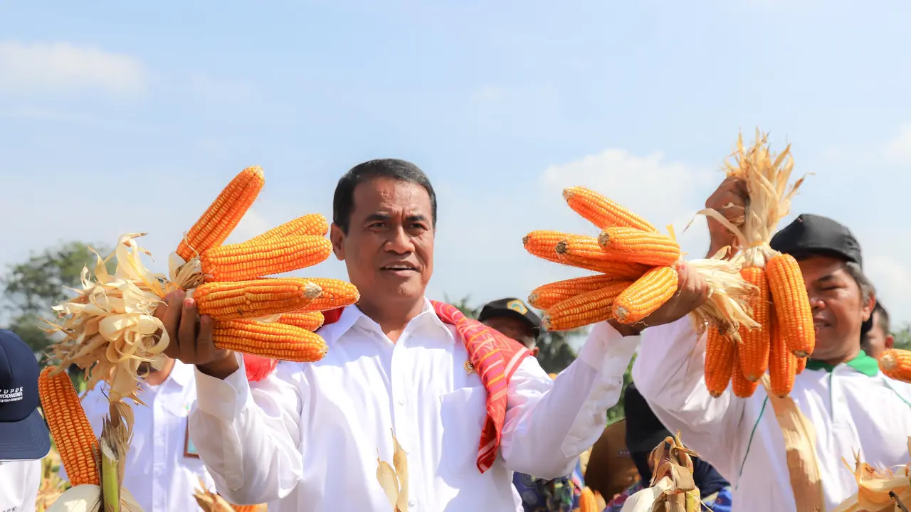Mentan Amran Genjot Produksi Jagung di Kota Medan, Optimis Bisa Hentikan Kran Impor