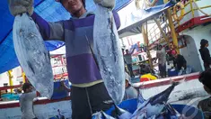 Nelayan Pelabuhan Muara Baru mengeluhkan langkanya BBM, Jakarta, Kamis (28/8/2014) (Liputan6.com/Faizal Fanani)