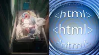 Bayi HTML yang baru lahir. (Facebook/Sincerely Pascual/Pixabay/Gerd Altmann)