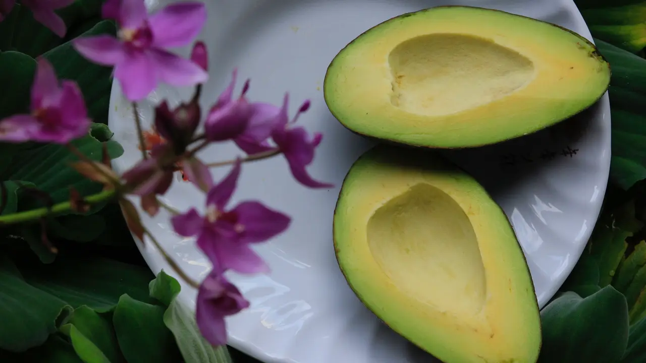buah alpukat