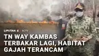 Kebakaran hutan dan lahan di kawasan Taman Nasional Way Kambas, Lampung Timur, makin mengkhawatirkan. Api merembet mendekati jalur perlintasan gajah.