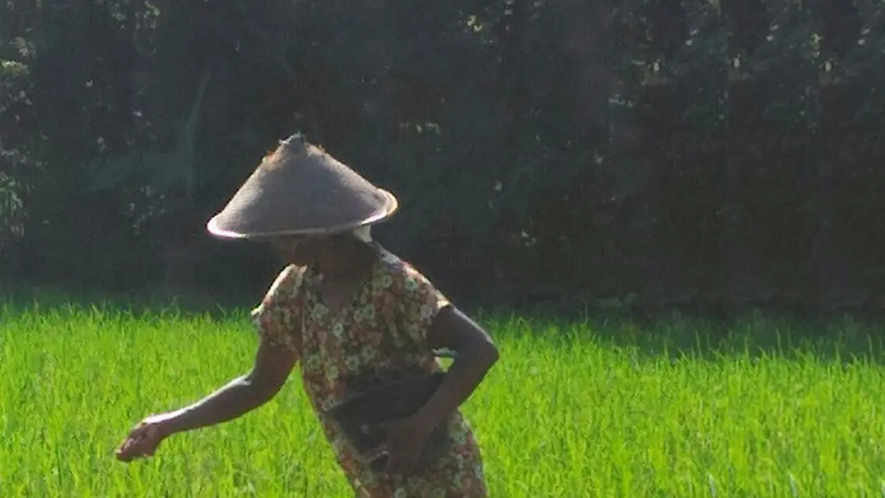 Suratinah, Potret Kemiskinan Petani Gunung Kidul