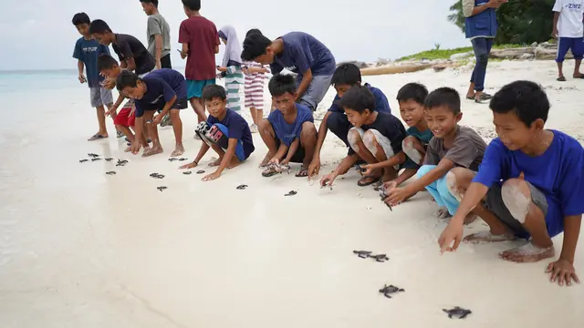 Hari Kura-Kura dan Penyu Sedunia 2025, Telkom Lepas 200 Anak Penyu di Kapoposang, Sulsel