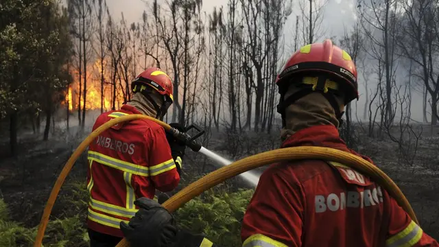 Petugas pemadam kebakaran Portugal menghentikan kebakaran hutan mencapai Desa Figueiro dos Vinhos Portugal tengah, Minggu, 18 Juni 2017. (AP/Paulo Duarte)